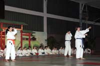 artsmartiaux200601034