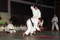 artsmartiaux200601043