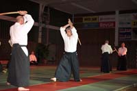 artsmartiaux200601046