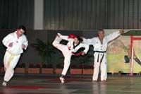 artsmartiaux200601065