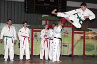 artsmartiaux200601067