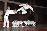 artsmartiaux200601073