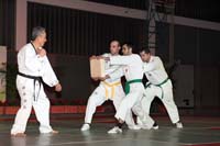 artsmartiaux200601074