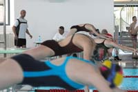 coupesynd2006020121k