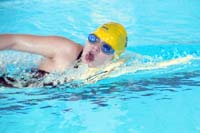 coupesynd2006020121y