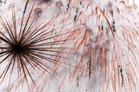 fetenationale2006060157