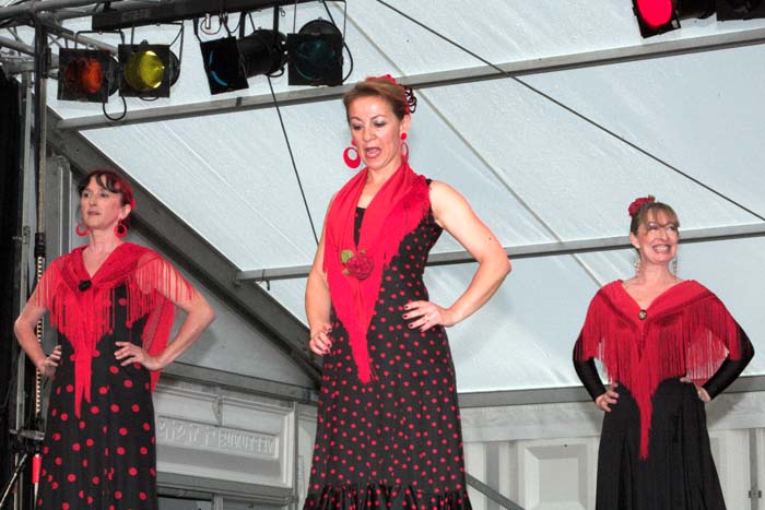 fiestaflamenca200605006