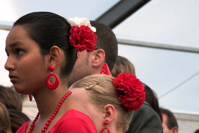 fiestaflamenca200605008