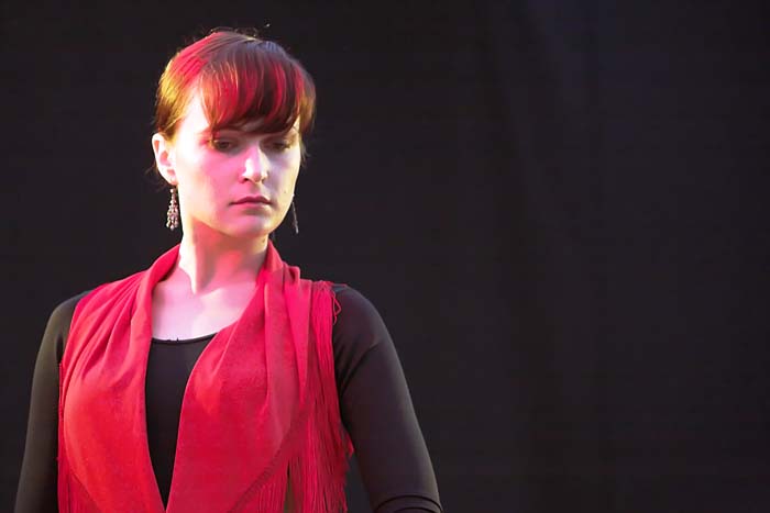 fiestaflamenca200605012