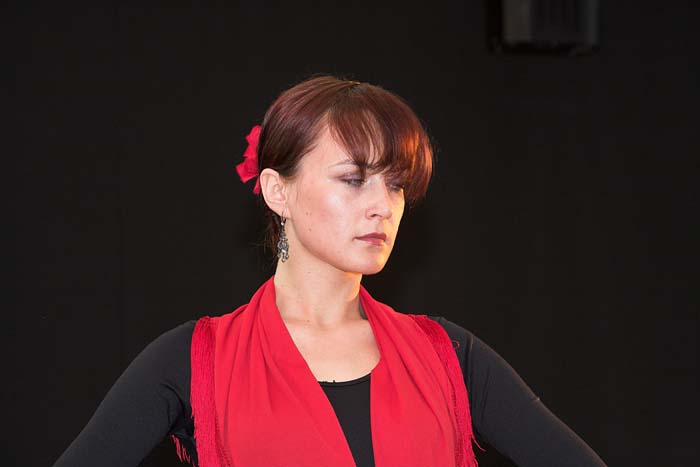 fiestaflamenca200605015