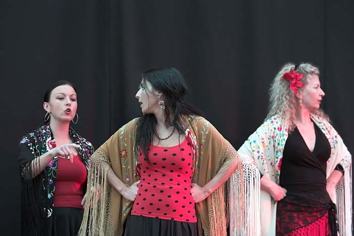 fiestaflamenca200605037