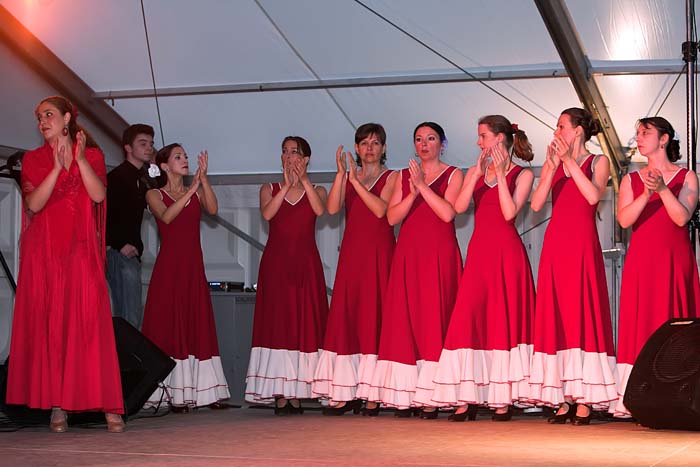 fiestaflamenca200605058