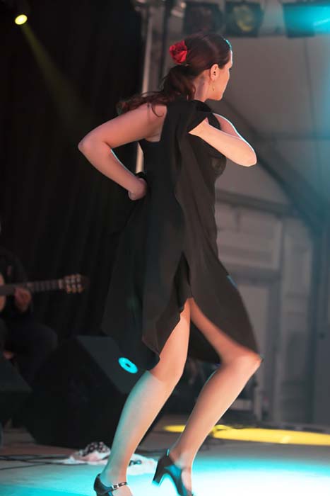 fiestaflamenca200605069