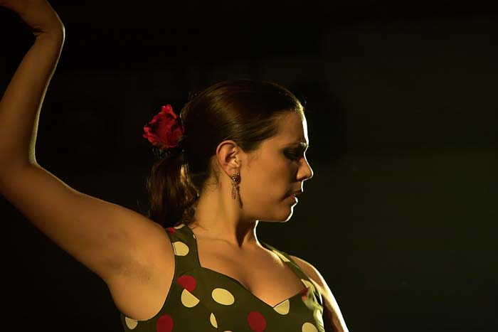 fiestaflamenca200605075