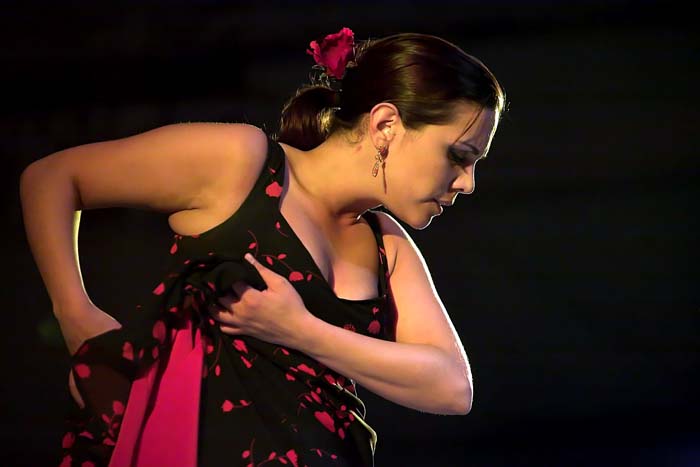 fiestaflamenca200605078