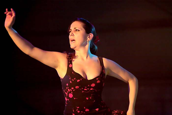 fiestaflamenca200605082