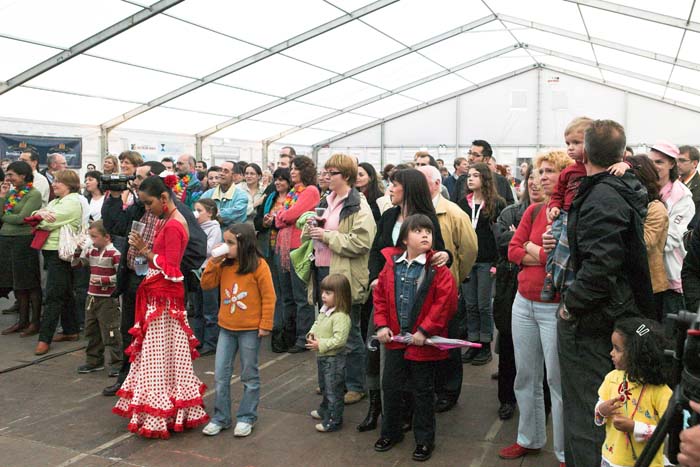 fiestaflamenca200605093
