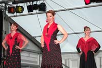 fiestaflamenca200605006