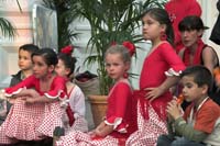 fiestaflamenca200605007