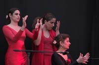 fiestaflamenca200605014