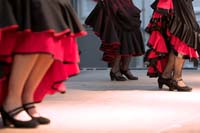 fiestaflamenca200605034