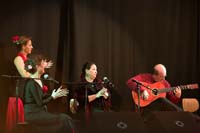 fiestaflamenca200605039