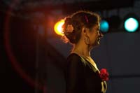 fiestaflamenca200605060