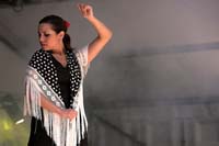 fiestaflamenca200605066