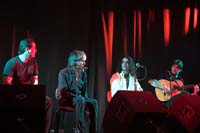 fiestaflamenca200605073