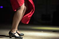 fiestaflamenca200605077