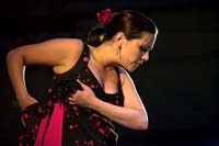 fiestaflamenca200605078
