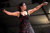 fiestaflamenca200605079