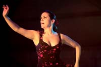 fiestaflamenca200605082