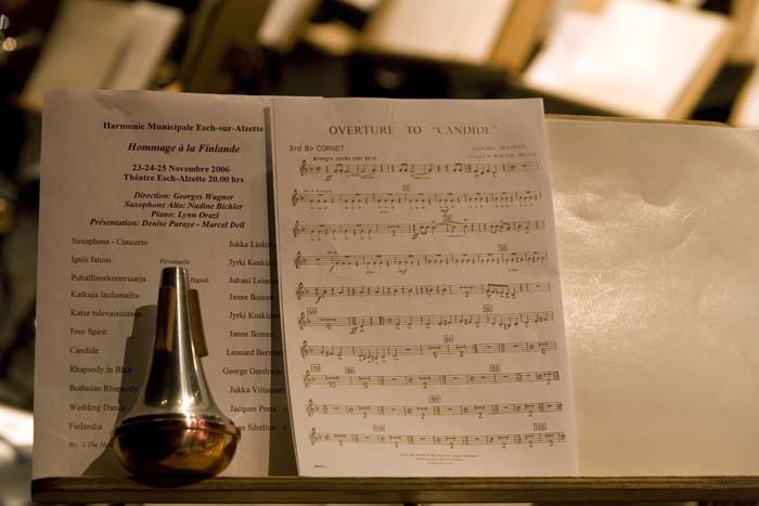 hommagefinlande200611041