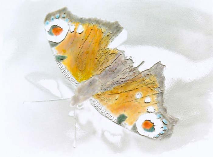 Astrup Karl-Johan-255-3-4