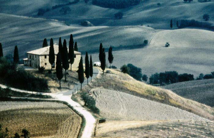 Birner Georges-049-2-1