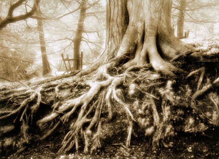 Burdon Janet-157-1-1