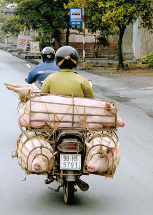 Calkin David-095-2-2