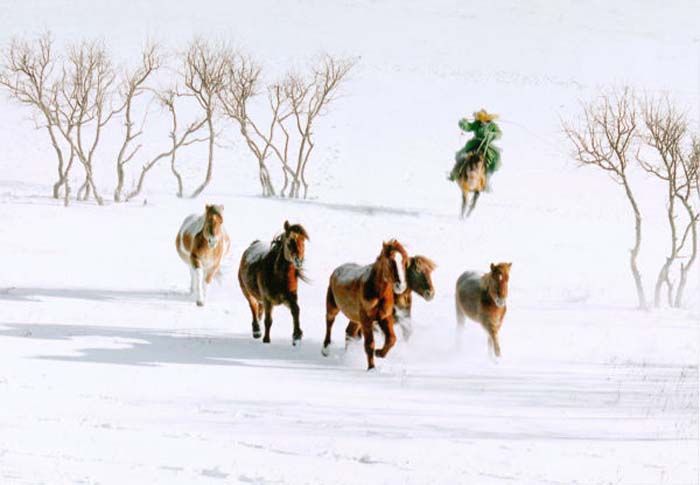 Chan Ping-chung-084-2-2