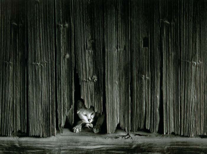 Cheung Kwan-Leung-084-1-2