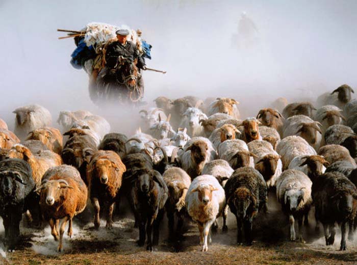 Cheung Kwan-leung-037-2-2