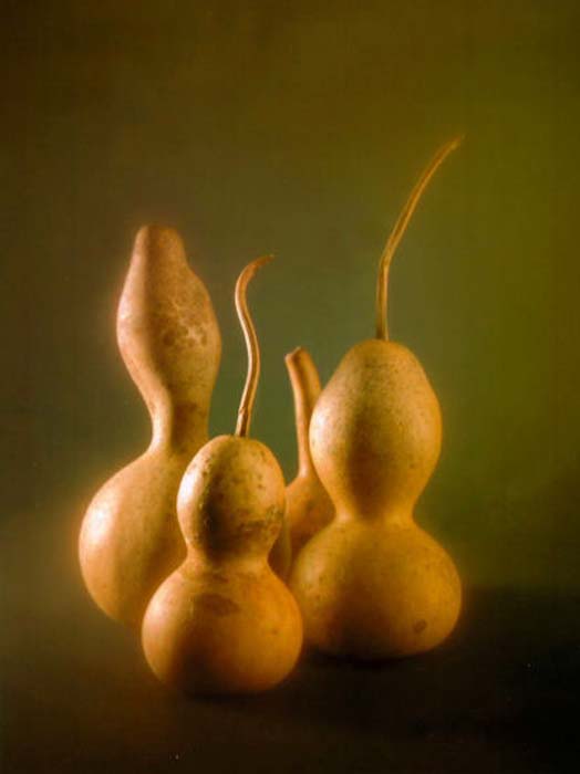 Dinamir Predov-164-2-2