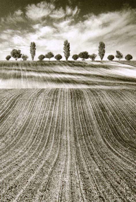 Dissoubray Serge-251-1-1