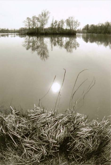 Dissoubray Serge-251-1-2