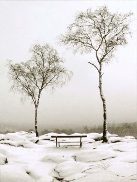 Dissoubray Serge-251-1-3