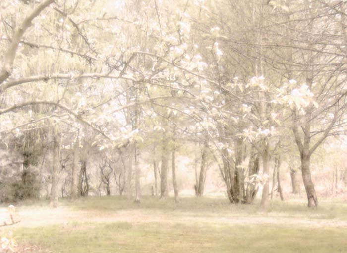 Gerkens Simone-129-3-5