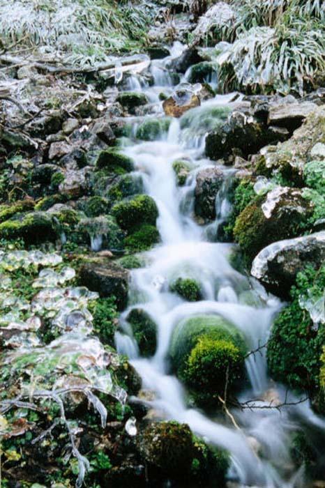 Goelff Claude-263-2-1