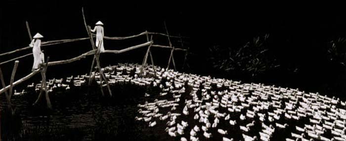 HoangTrung Thuy-182-1-1