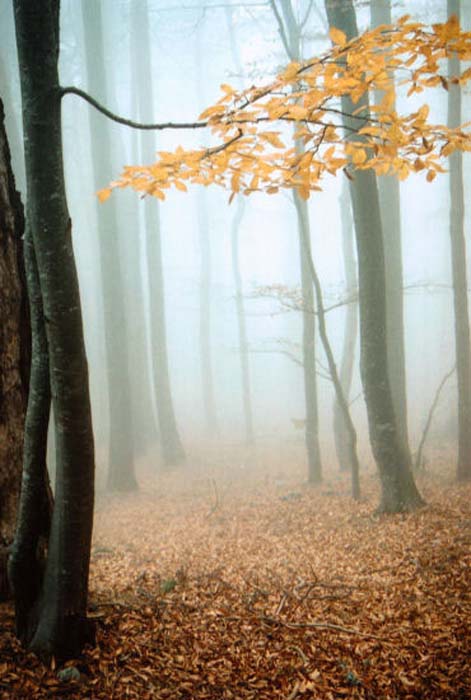 Komarov Eugeni-023-2-1