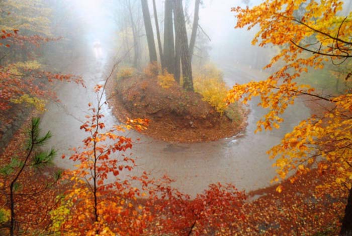 Komarov Eugeni-023-2-2